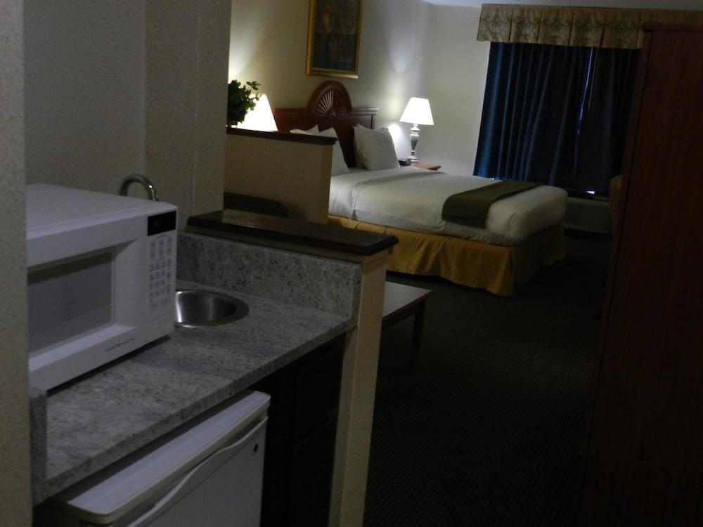 Holiday Inn Express Anderson I-85 - Exit 27- Highway 81 By Ihg Δωμάτιο φωτογραφία